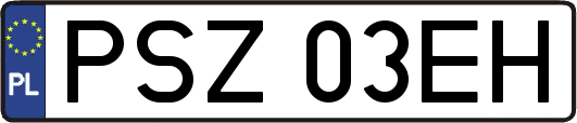 PSZ03EH