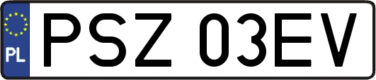 PSZ03EV