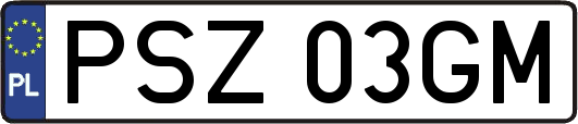 PSZ03GM