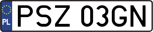 PSZ03GN