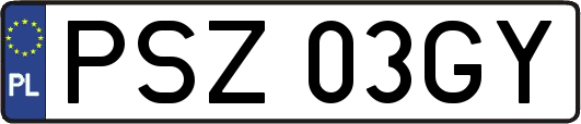 PSZ03GY