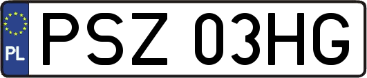 PSZ03HG