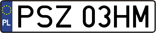 PSZ03HM