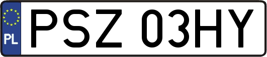 PSZ03HY