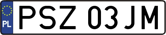 PSZ03JM