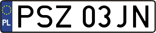 PSZ03JN