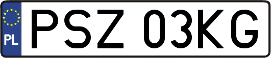 PSZ03KG