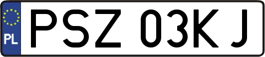 PSZ03KJ