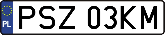 PSZ03KM