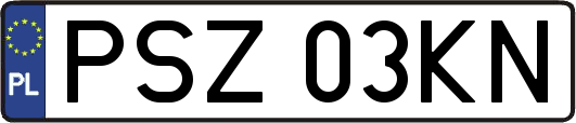 PSZ03KN