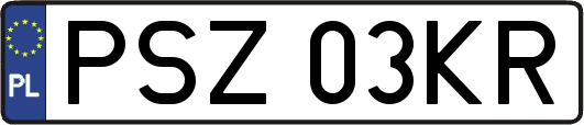 PSZ03KR
