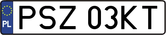 PSZ03KT