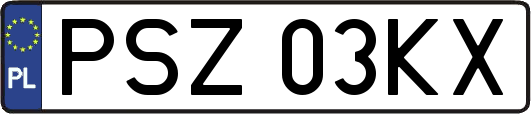 PSZ03KX