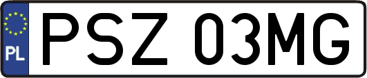 PSZ03MG