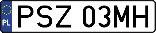 PSZ03MH