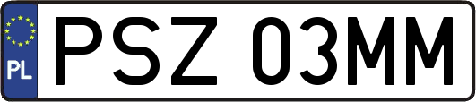 PSZ03MM