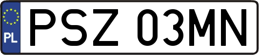 PSZ03MN