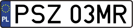 PSZ03MR
