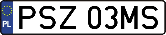 PSZ03MS