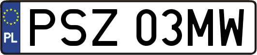 PSZ03MW