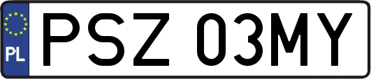 PSZ03MY