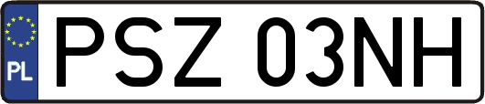 PSZ03NH