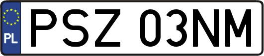 PSZ03NM