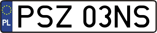 PSZ03NS