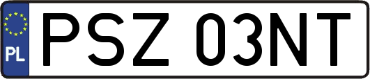 PSZ03NT