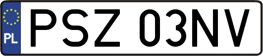 PSZ03NV