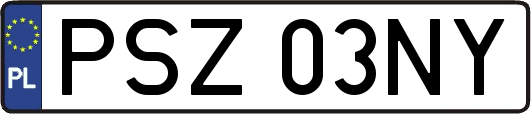 PSZ03NY