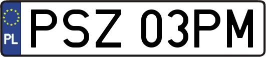 PSZ03PM