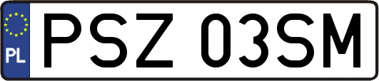 PSZ03SM