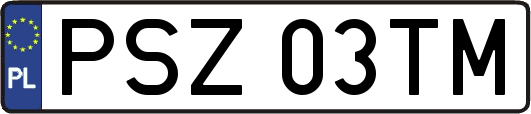 PSZ03TM