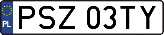 PSZ03TY
