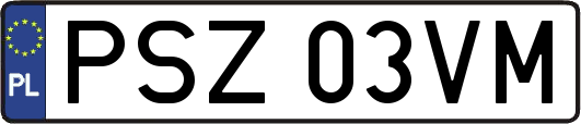 PSZ03VM