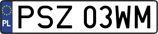 PSZ03WM