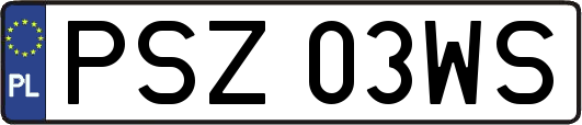 PSZ03WS