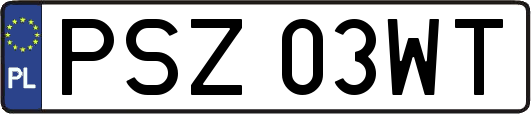 PSZ03WT