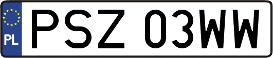 PSZ03WW