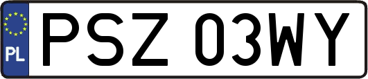 PSZ03WY