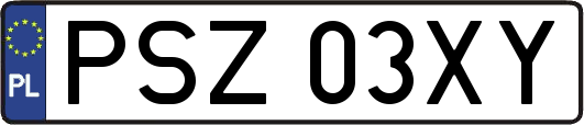 PSZ03XY