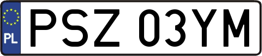 PSZ03YM