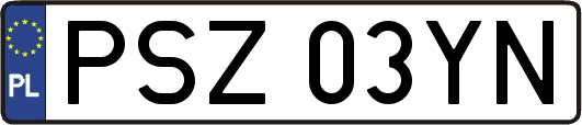 PSZ03YN