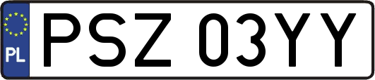 PSZ03YY