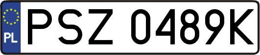 PSZ0489K