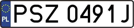 PSZ0491J
