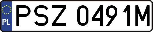 PSZ0491M