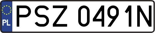 PSZ0491N
