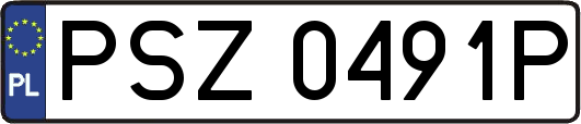 PSZ0491P